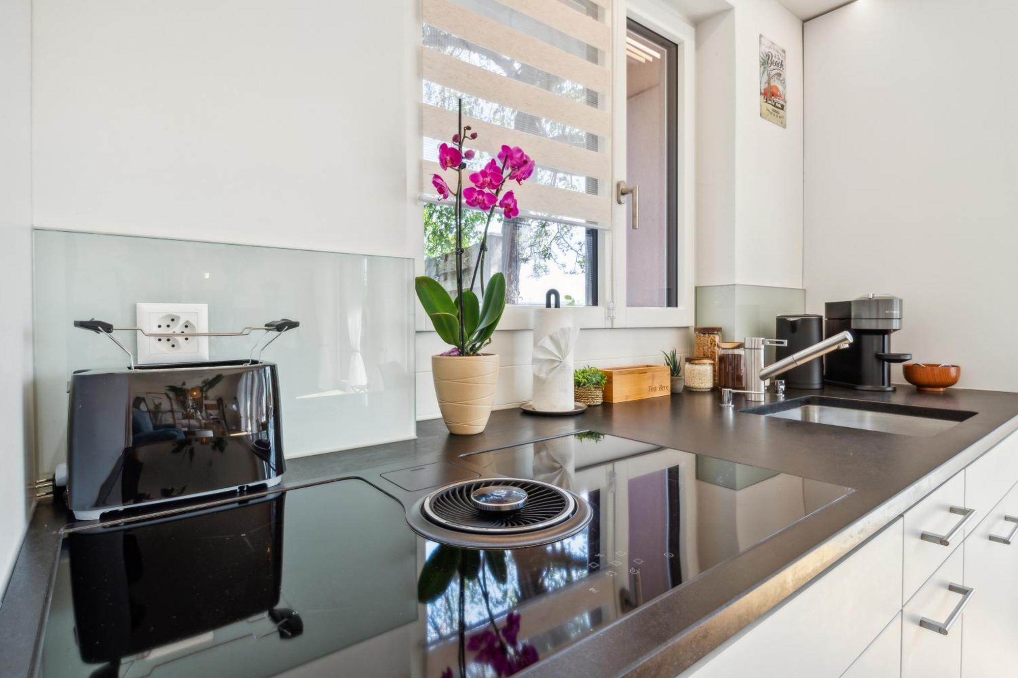 Business I Family Apartment I 1-4 Personen - Aare Blick, Nahe Altstadt I Beamer - 99" Leinwand I Terrassen Lounge Und Parkplatz Brugg  Exterior foto
